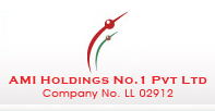 AMI Holdings No.1 PVt Ltd